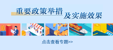 重要政策舉措及實施效果